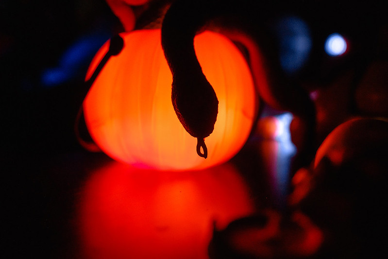 Украшение дома паутиной и летучими мышами к Хэллоуину в Izhevsk